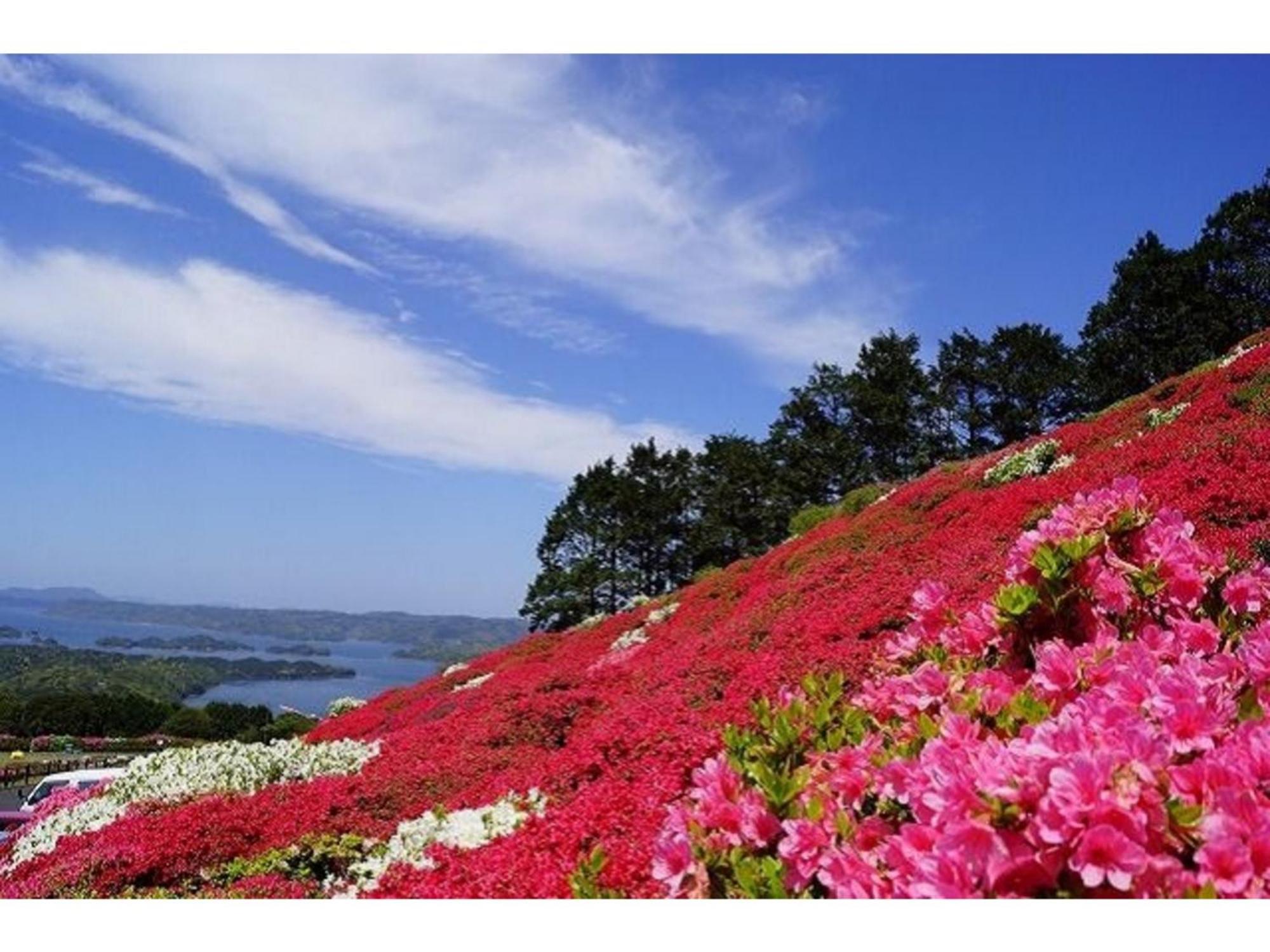 The Paradise Garden Sasebo Esterno foto