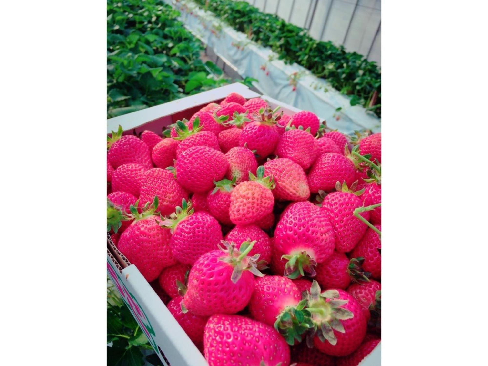 The Paradise Garden Sasebo Esterno foto
